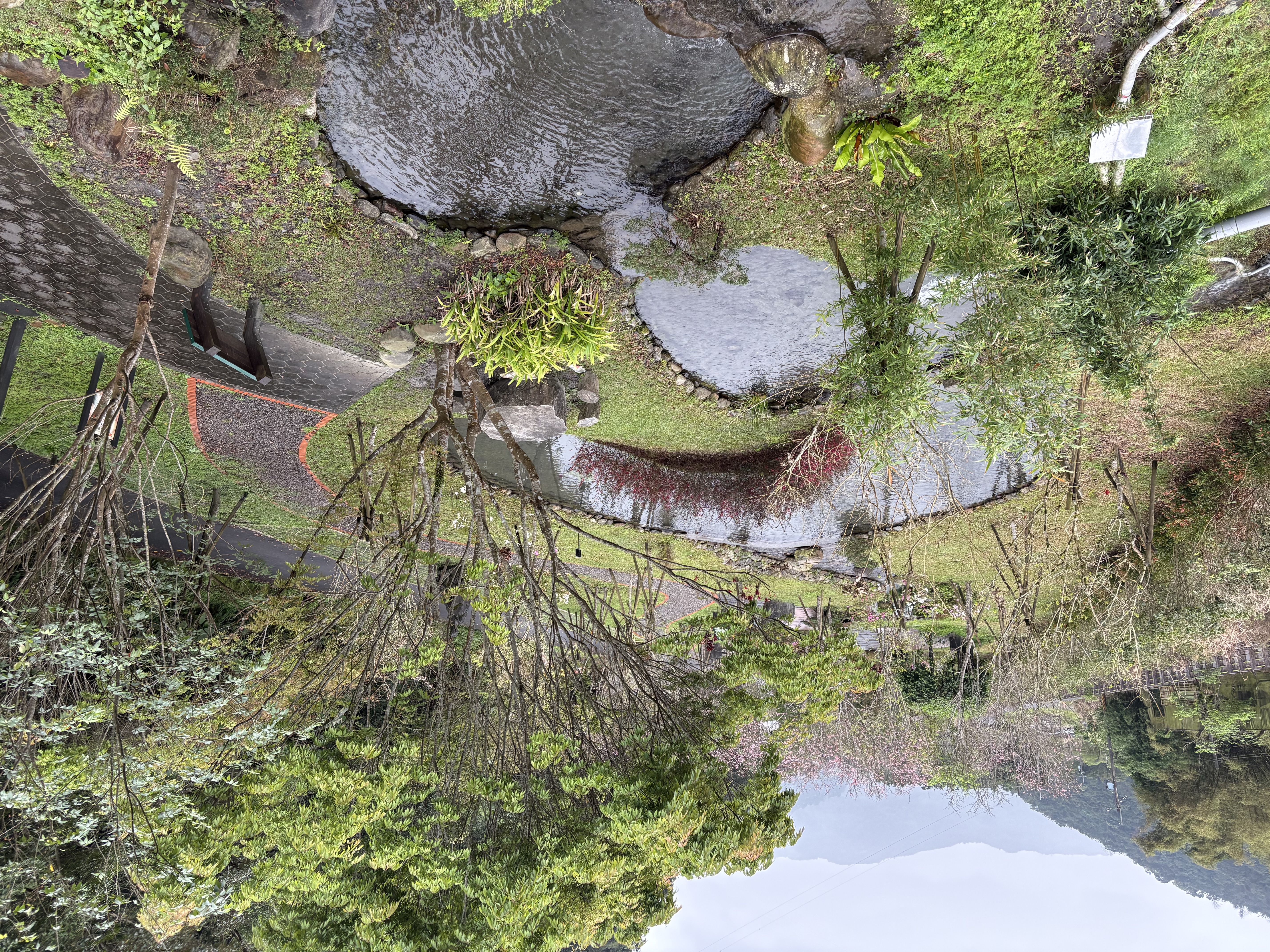a microhydro power plant and a series of water purifying pools