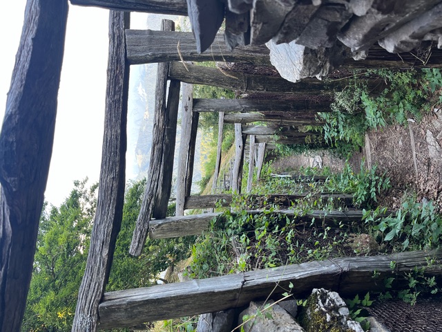 remains of war trech roof supports turned to arches