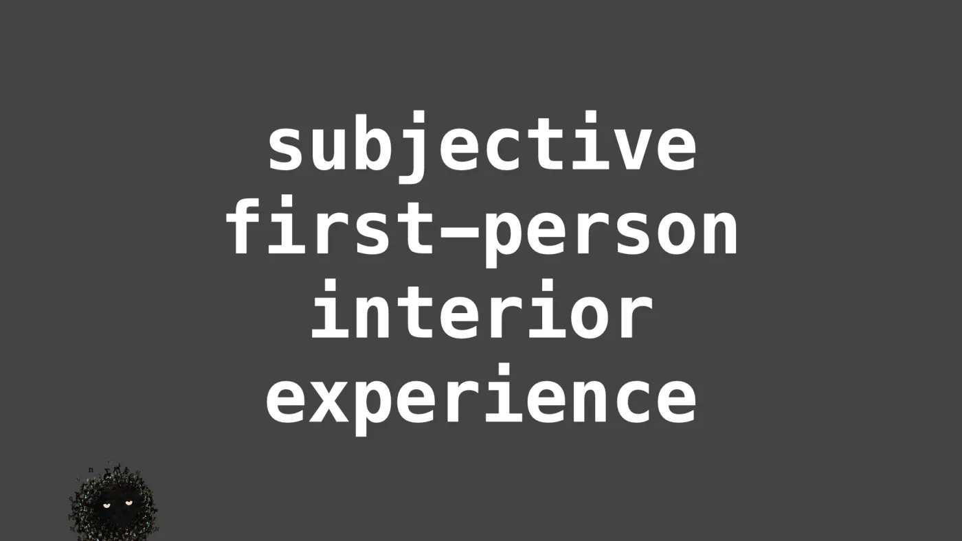 subjective
first-person
interior
experience | picture: Sili, in the bottom left, moving right