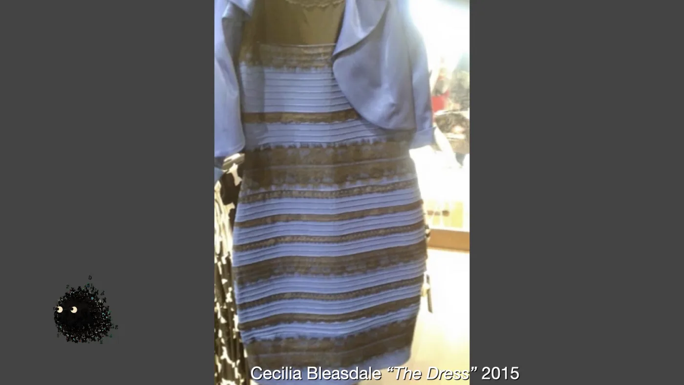 Cecilia Bleasdale “The Dress” 2015 | picture: the original photograph of the dress, hanging in a shop: bands that read white-and-gold to some eyes and blue-and-black to others | picture: Sili, in the bottom left, moving left and rising
