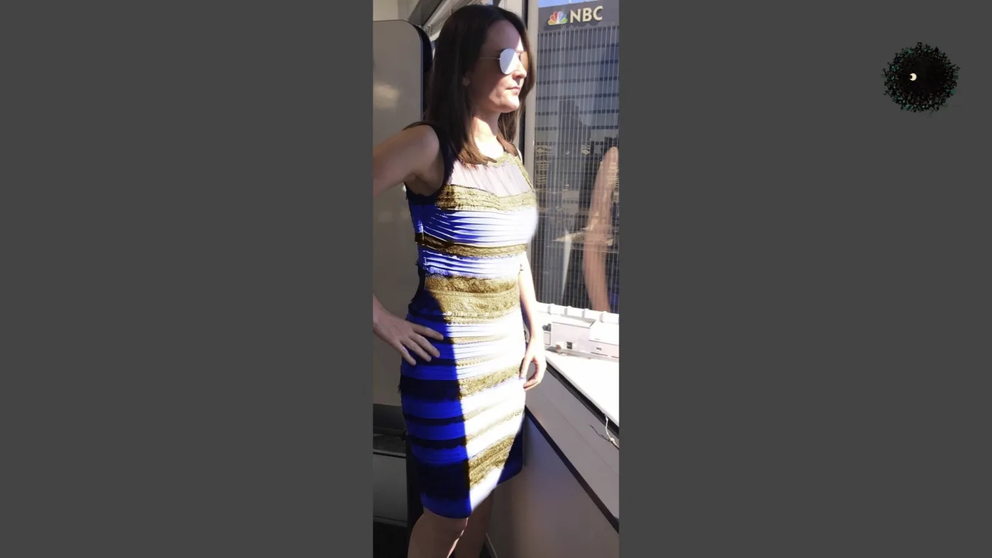 picture: the dress — a woman standing at an office window, wearing the dress that some see blue and black and others white and gold | picture: Sili, small in the distance, in the top right, striding right and rising