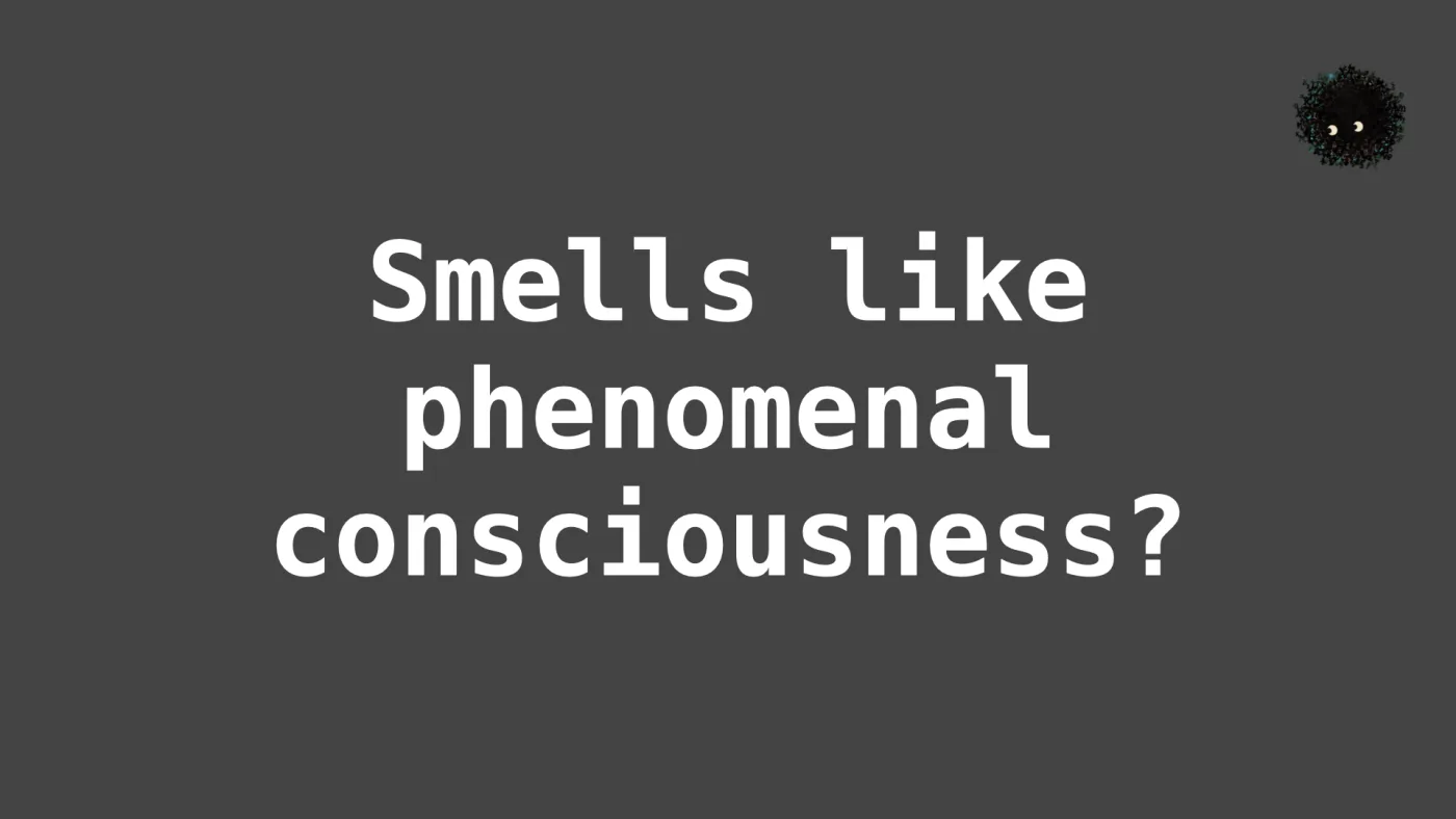 Smells like phenomenal consciousness? | picture: Sili, small in the distance, in the top right, staying put