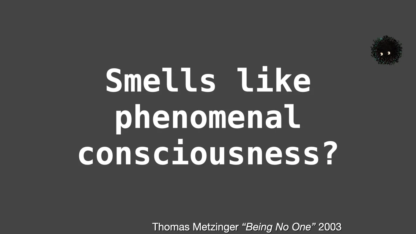 Smells like
phenomenal
consciousness? | Thomas Metzinger “Being No One” 2003 | picture: Sili, small in the distance, in the top right, dropping