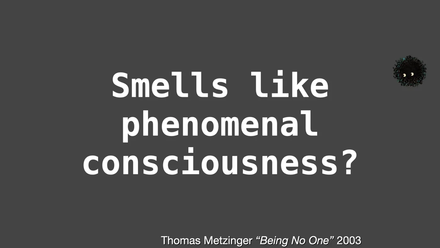 Smells like
phenomenal consciousness? | Thomas Metzinger “Being No One” 2003 | picture: Sili, small in the distance, in the top right, dropping