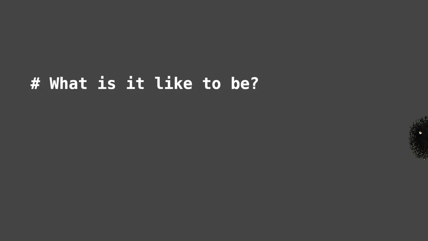 # What is it like to be? | picture: Sili, over at the right, half off the right edge, rising