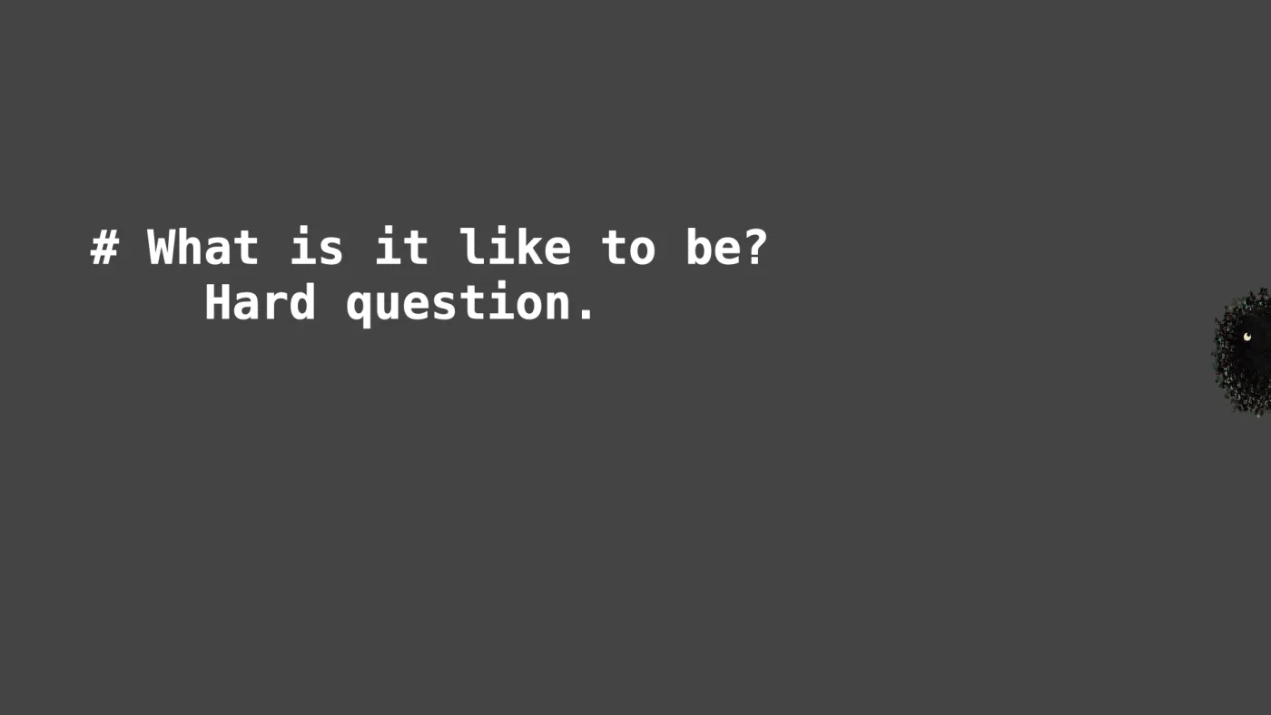 # What is it like to be?
Hard question. | picture: Sili, over at the right, half off the right edge, rising