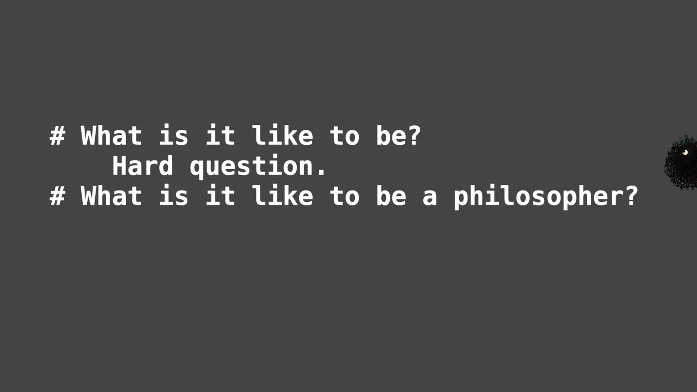 # What is it like to be?
Hard question.
# What is it like to be a philosopher? | picture: Sili, small in the distance, over at the right, rising