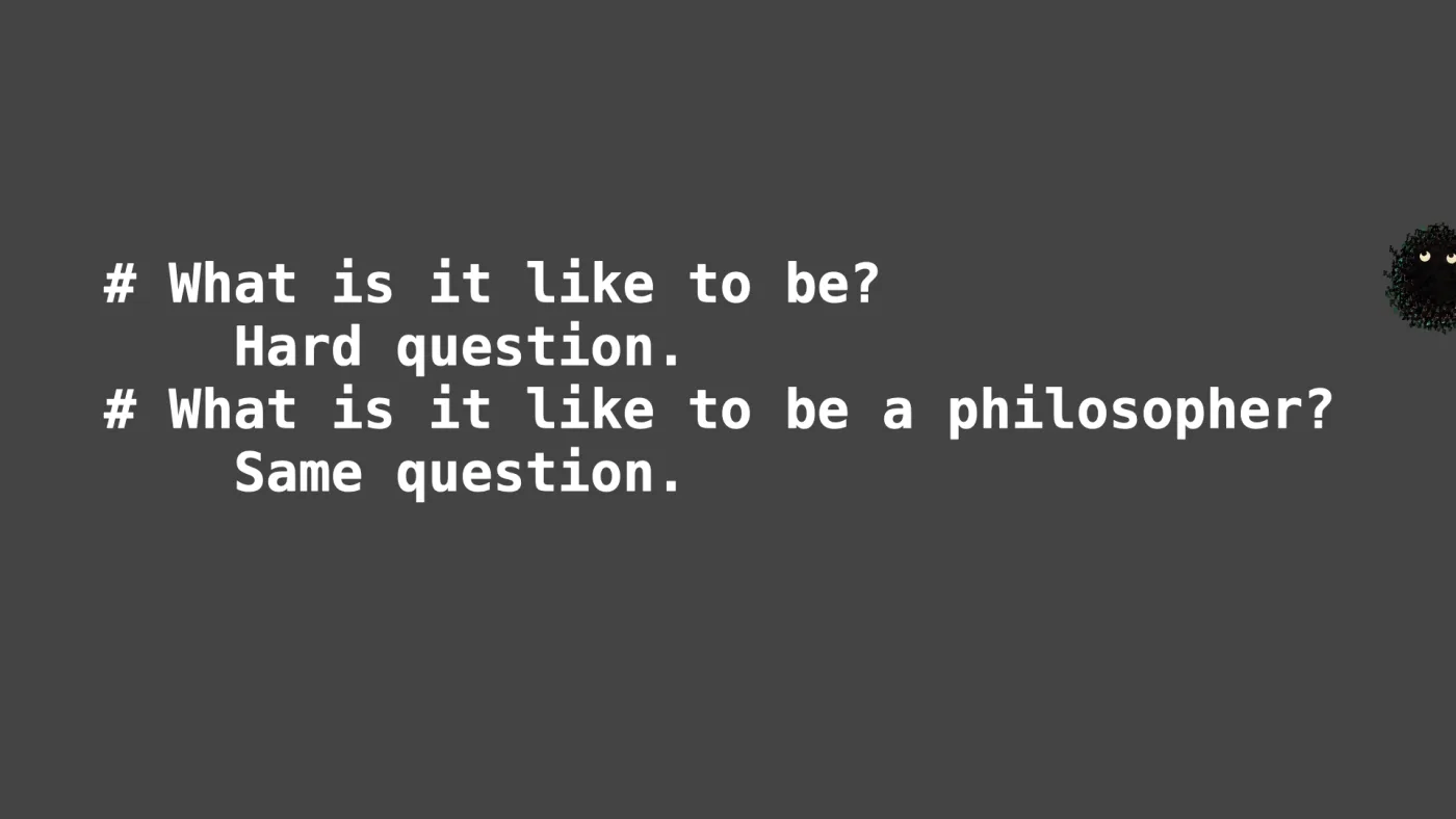 # What is it like to be?
Hard question.
# What is it like to be a philosopher?
Same question. | picture: Sili, small in the distance, over at the right, rising