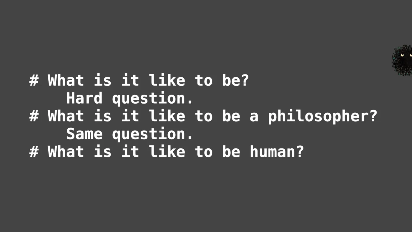# What is it like to be?
Hard question.
# What is it like to be a philosopher?
Same question.
# What is it like to be human? | picture: Sili, small in the distance, in the top right, rising